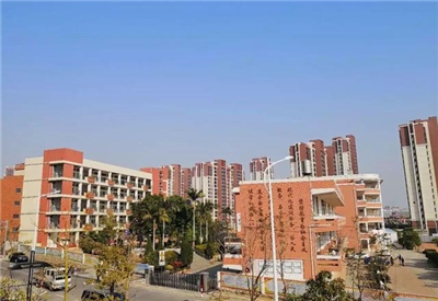 紫帽中心小學